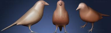 3D model Red Browed Finch (STL)